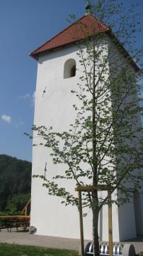 Foto Občina Kostananjevica na Krki